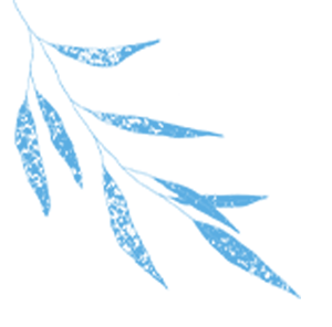SATAKE