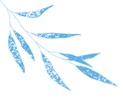 SATAKE